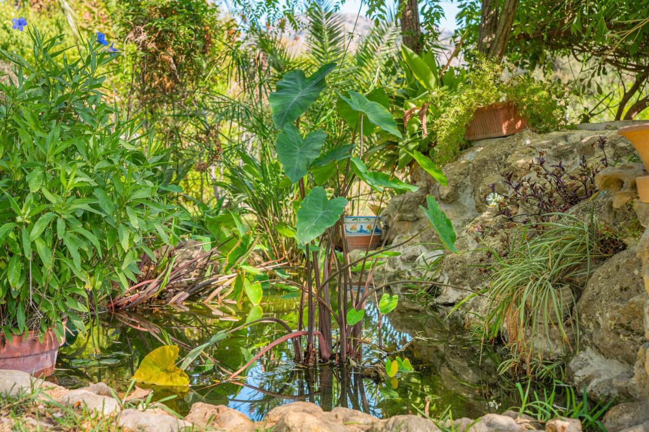 Finca Alqueria Кампанет Экстерьер фото